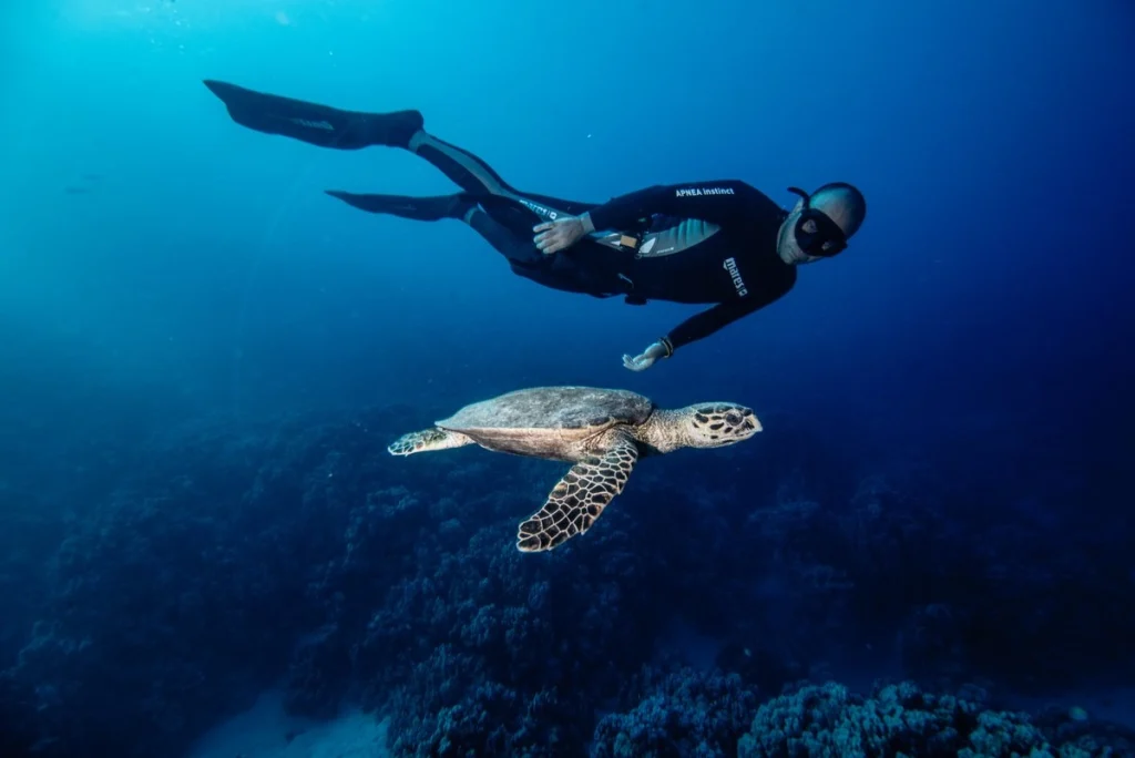 El_Gouna_Red_Sea_Diving-1