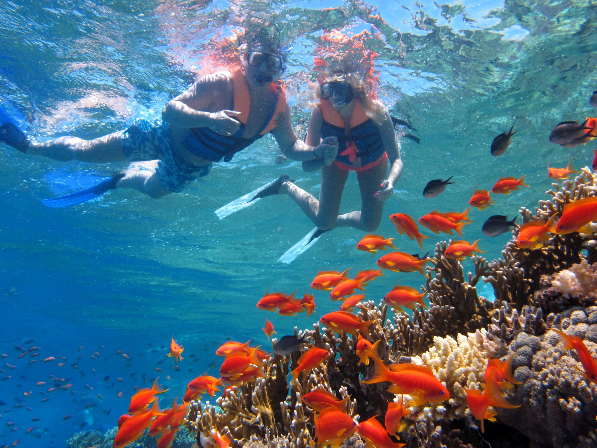 El_Gouna_Red_Sea_Diving