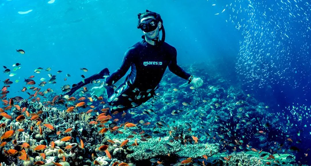 The Complete Guide to Diving and Kitesurfing in El Gouna